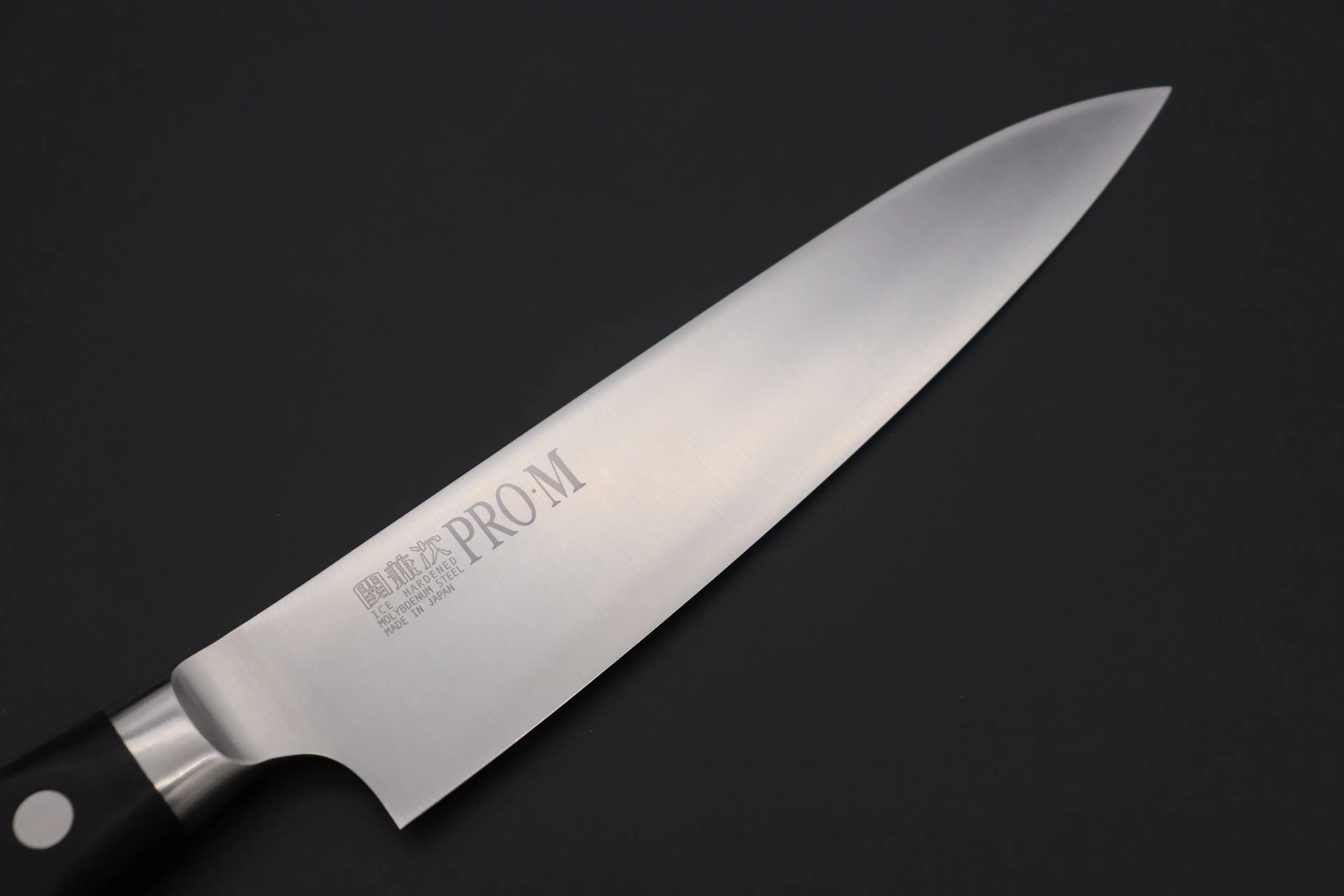 Seki Kanetsugu Seki Kanetsugu Pro-M Gyuto 210mm