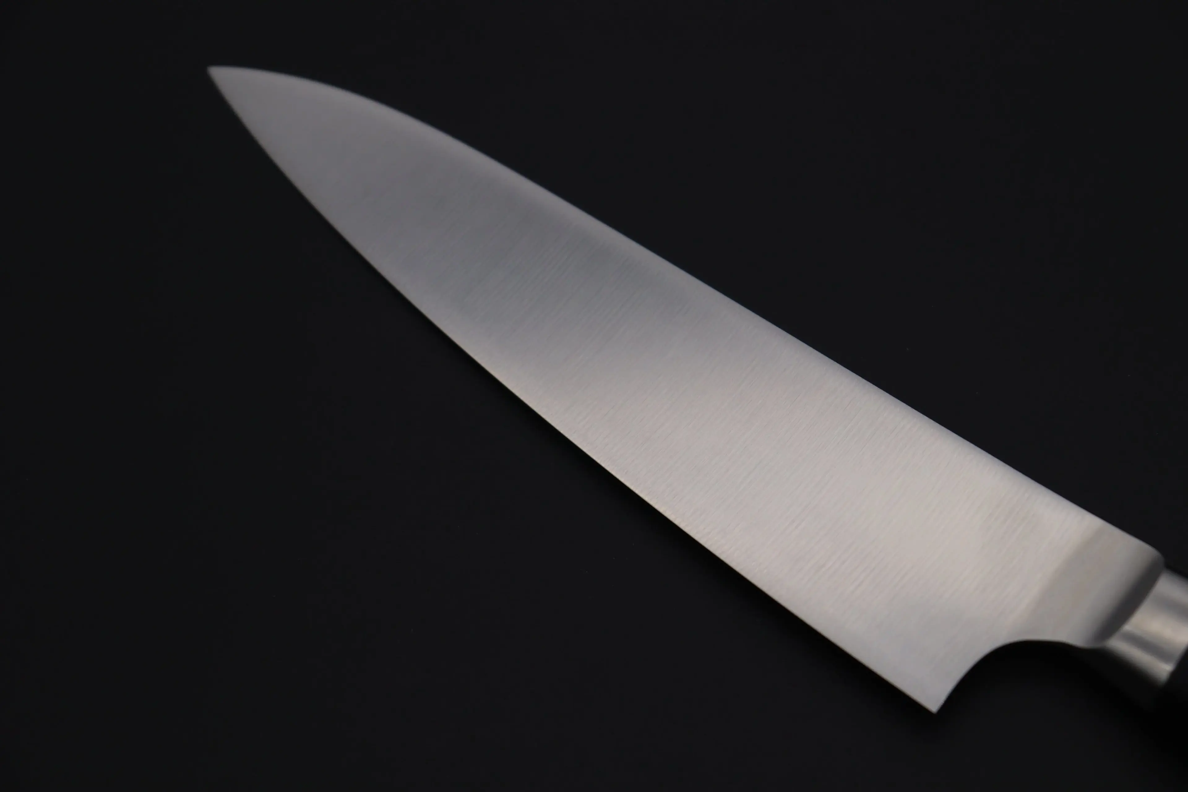 Seki Kanetsugu Seki Kanetsugu Pro-M Gyuto 210mm