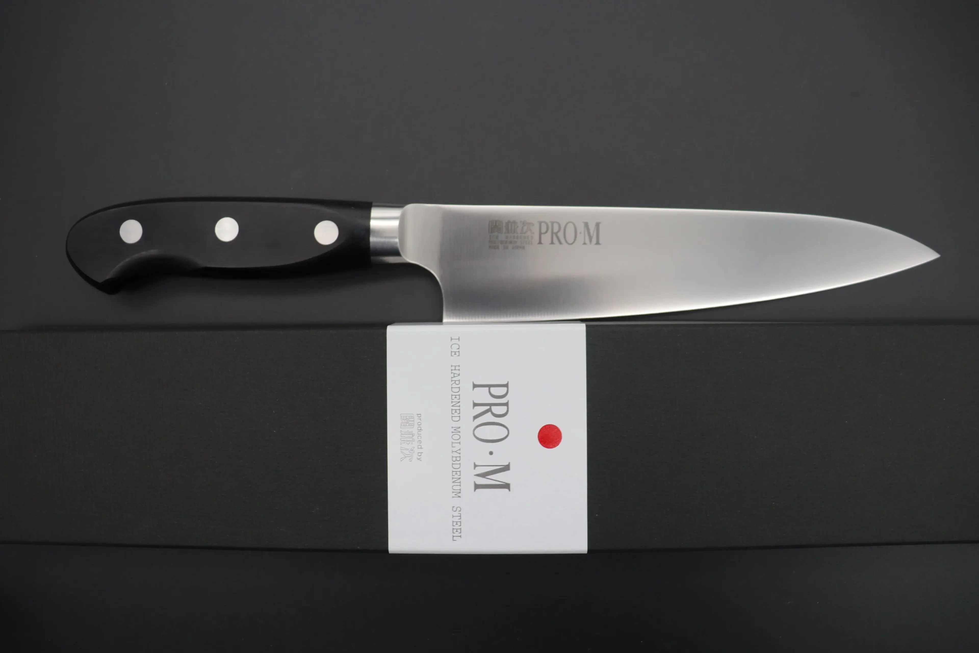 Seki Kanetsugu Seki Kanetsugu Pro-M Gyuto 210mm