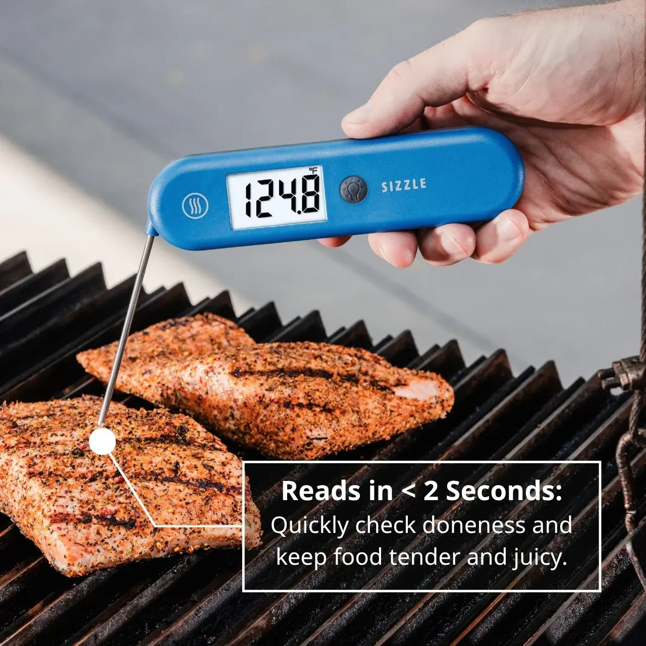ThermoWorks ThermoWorks SIZZLE