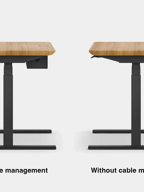 Oakywood Oakywood Standing Desk Pro