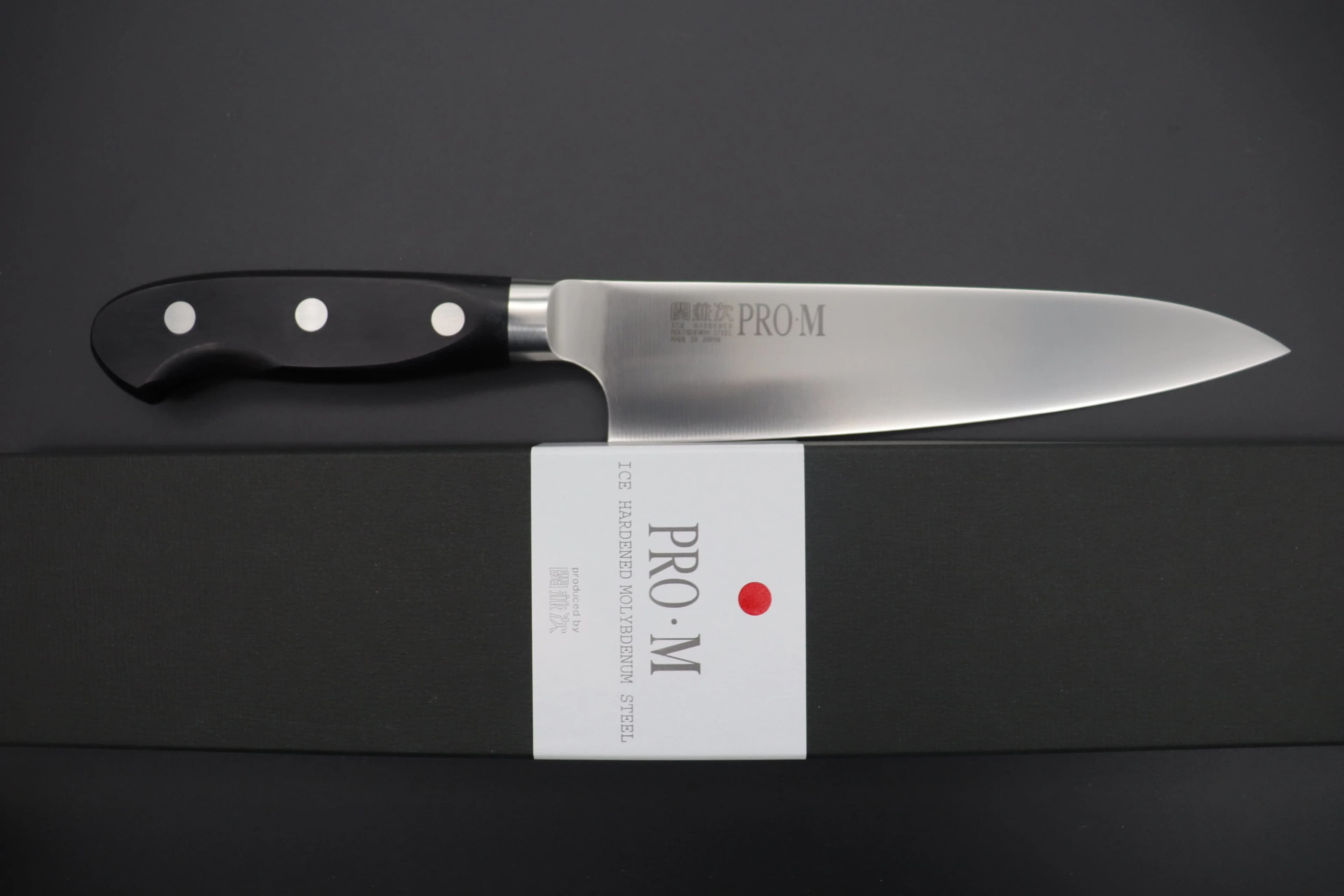 Seki Kanetsugu Seki Kanetsugu Pro-M Gyuto 210mm